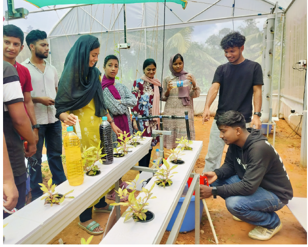 School arts festival (placeholder)